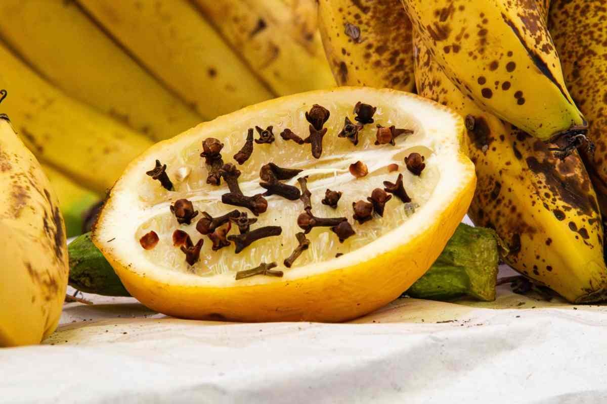 banane sullo sfondo, un limone a metà e chiodi di garofano poggiati sulla sua polpa